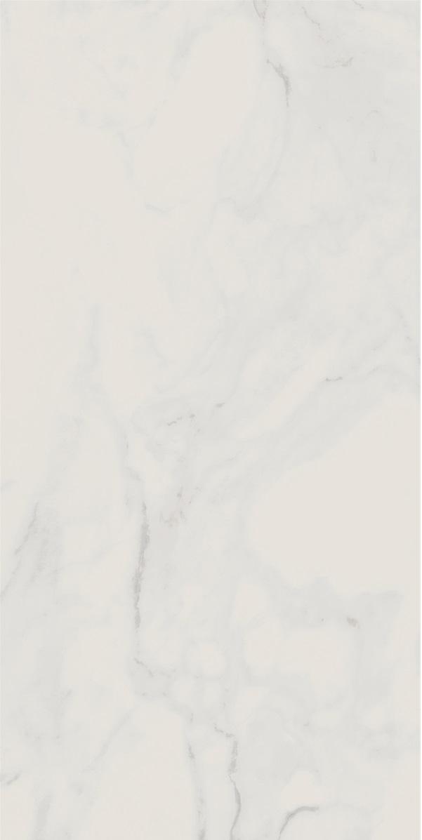 CALACATTA WHITE POL. 60X120 -X
