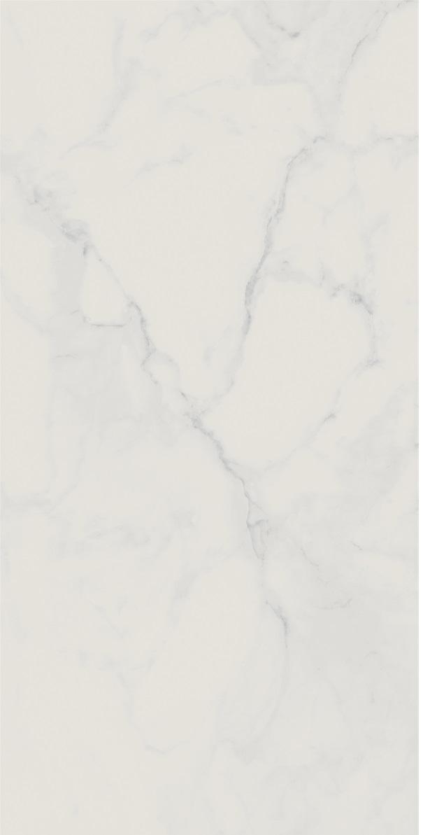 CALACATTA WHITE MATTE 60X120