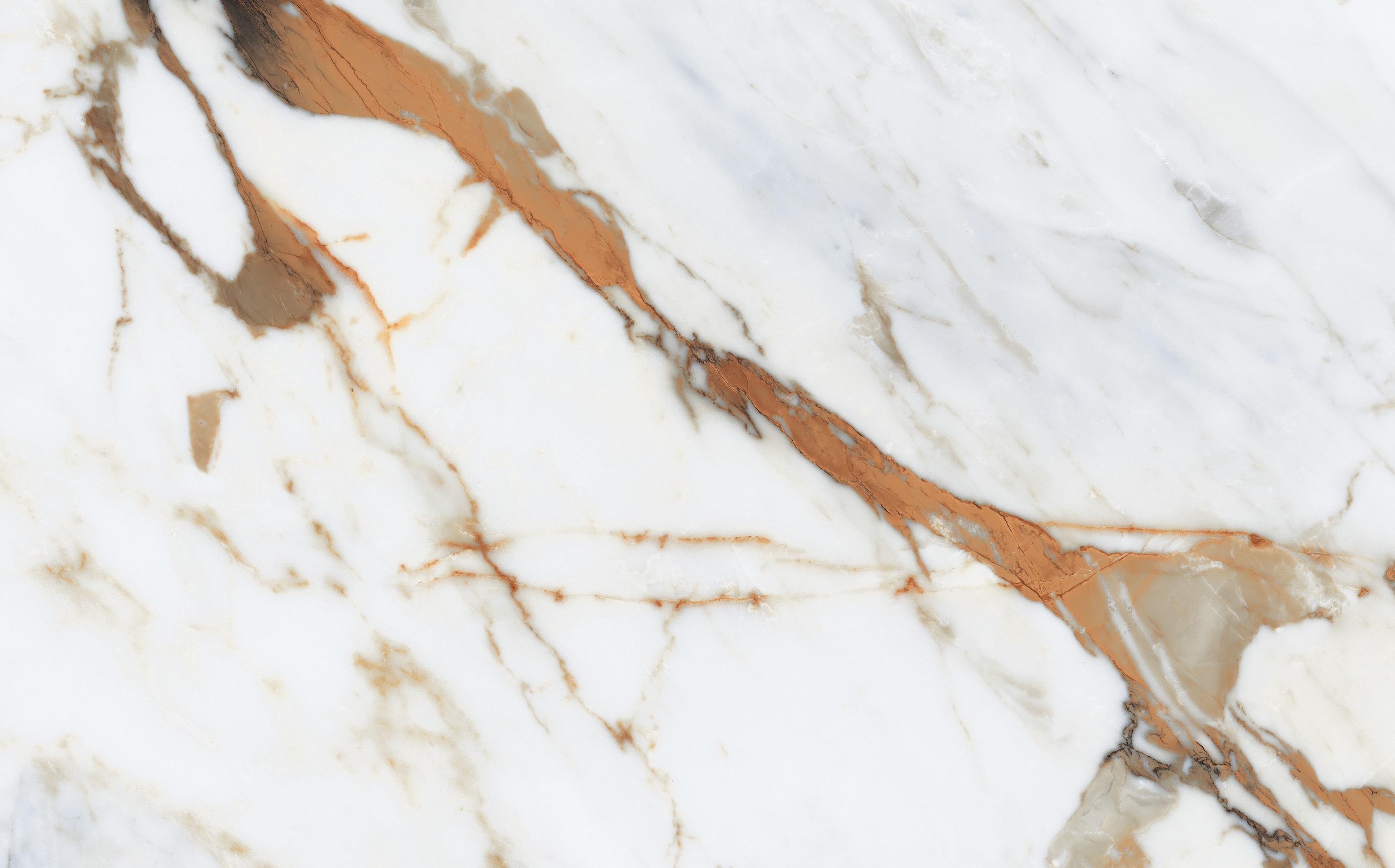 CALACATTA MACCHIA VECCHIA POL-X 60X120